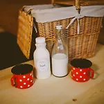 Glamping Campsite